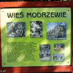 Modrzewie, gmina Wleń